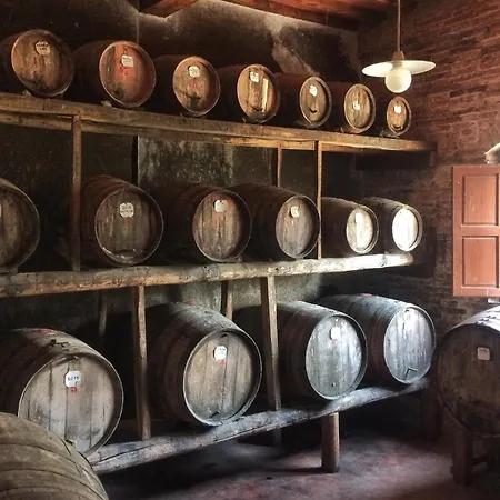 Fattoria Santa Vittoria Pozzo (Arezzo)