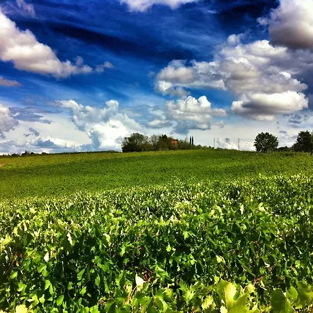 Fattoria Santa Vittoria Pozzo (Arezzo)