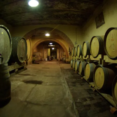 Fattoria Santa Vittoria * Pozzo (Arezzo)