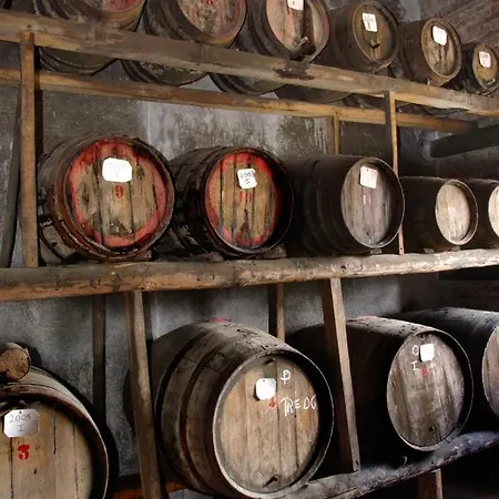 Farm stay Fattoria Santa Vittoria Pozzo (Arezzo)