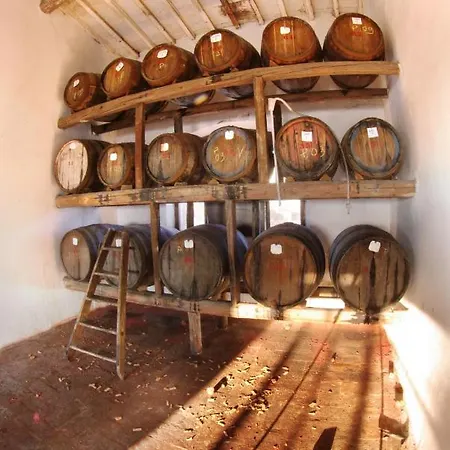 Fattoria Santa Vittoria Farm stay Pozzo (Arezzo)