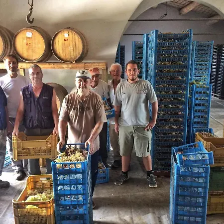 Fattoria Santa Vittoria * Pozzo (Arezzo)