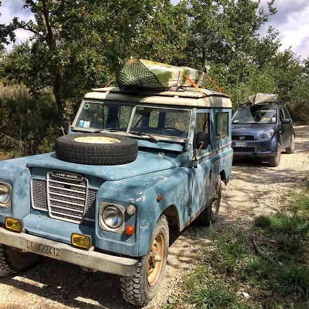 Farm stay Fattoria Santa Vittoria Pozzo (Arezzo)