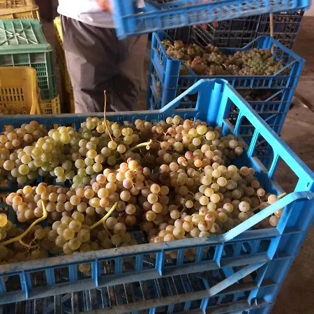 Fattoria Santa Vittoria Farm stay