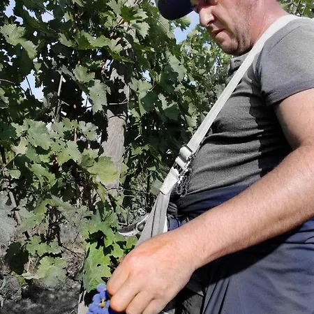 Fattoria Santa Vittoria * Pozzo (Arezzo)