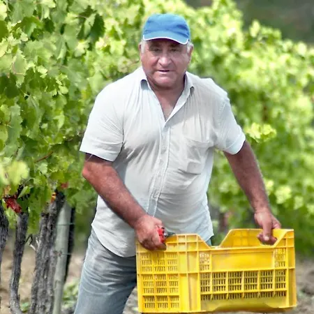 Fattoria Santa Vittoria * Pozzo (Arezzo)