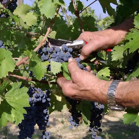 Farm stay Fattoria Santa Vittoria *